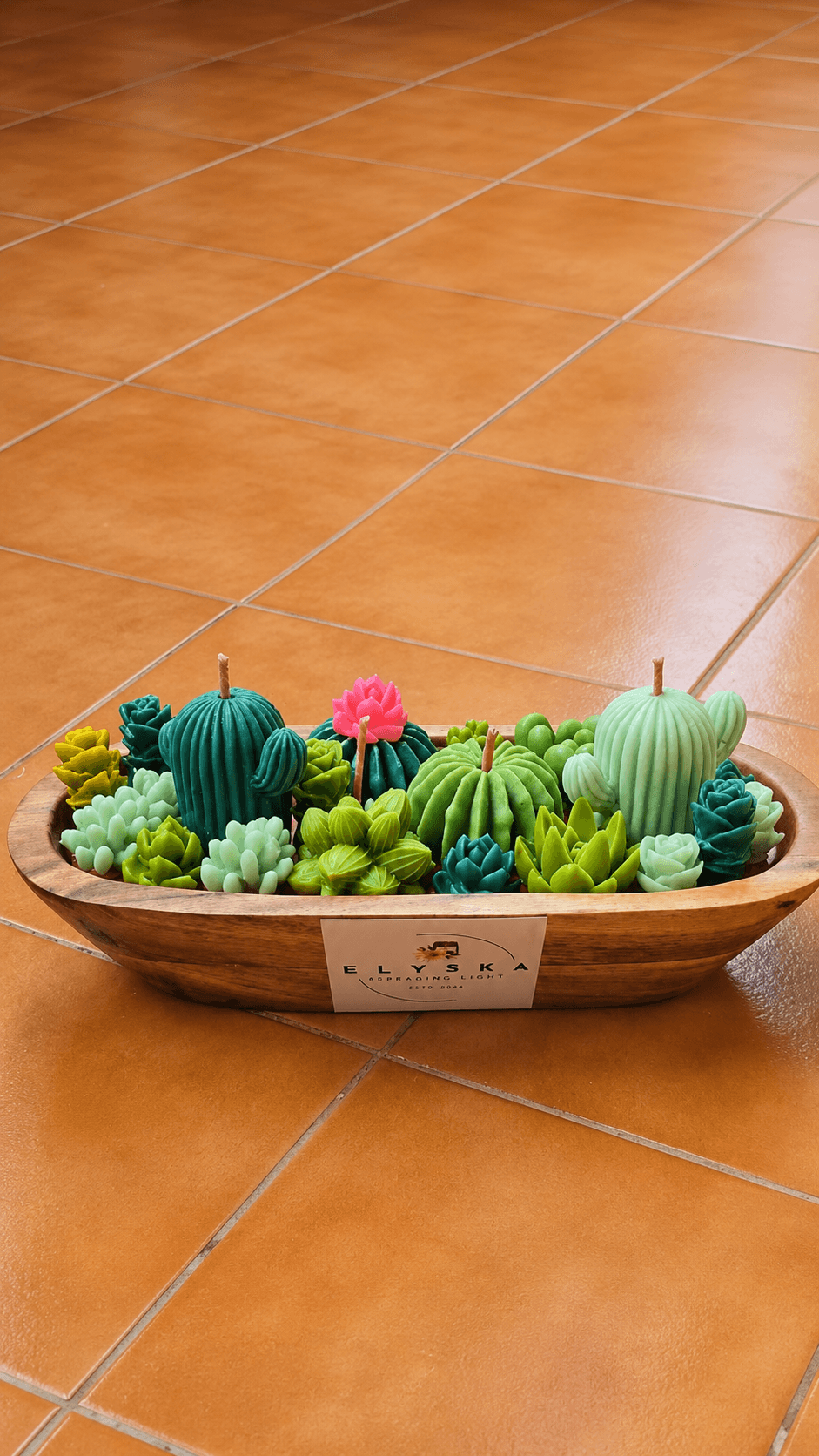 Succulent Candle